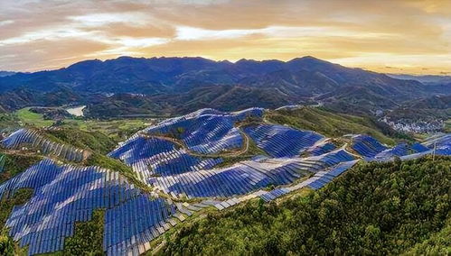 荒漠奇缘 从电厂蓝图到意外牧场